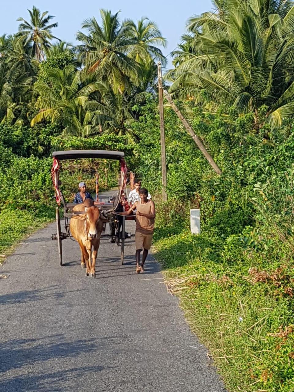 Star Home Stay Bentota Eksteriør bilde